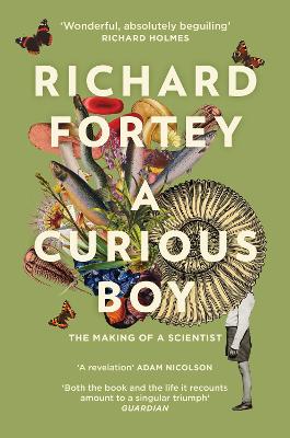Picture of A Curious Boy : The Making of a Scientist