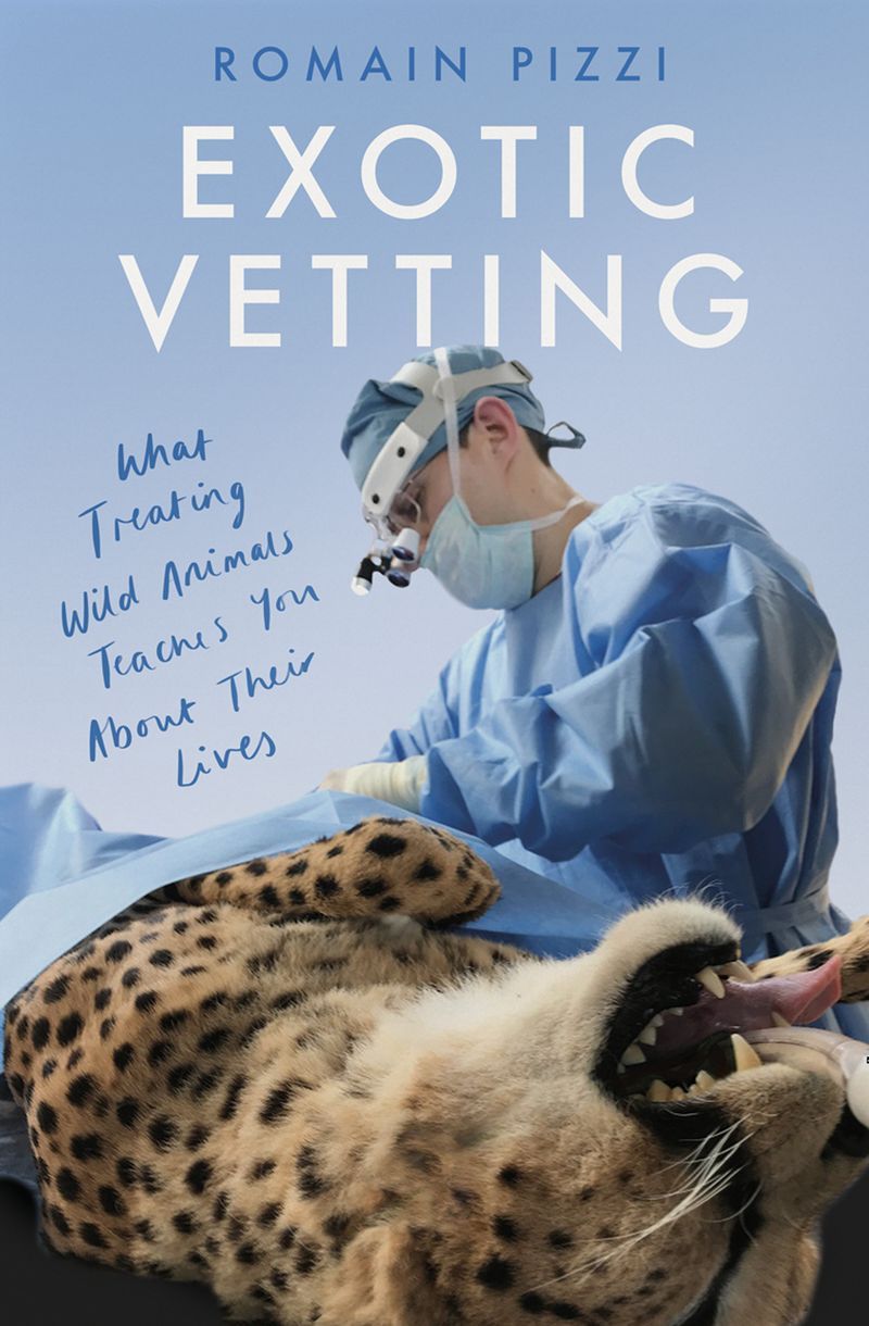 Exotic Vetting : What Treating Wild Animals Teaches You About Their Lives