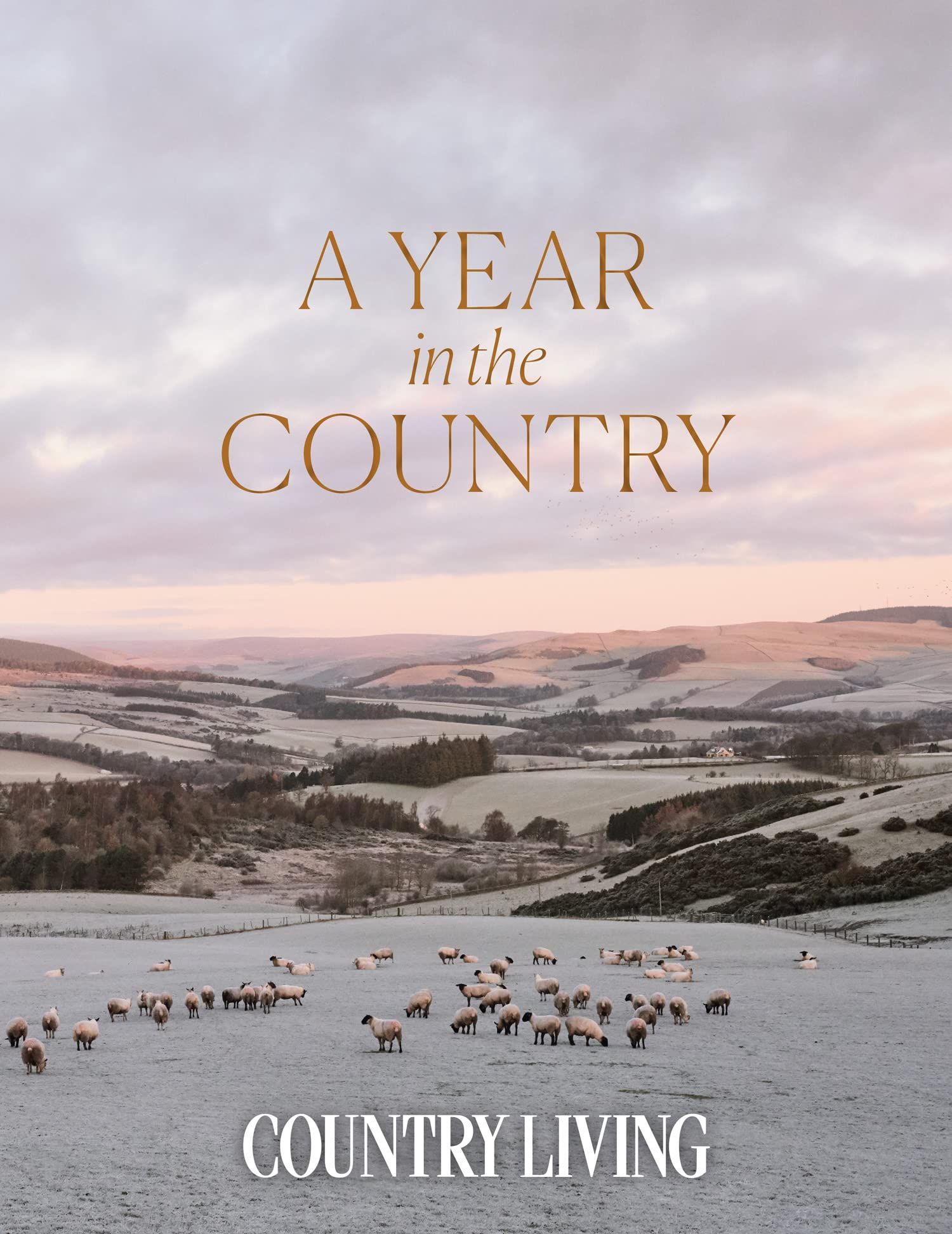 Picture of A Year in the Country
