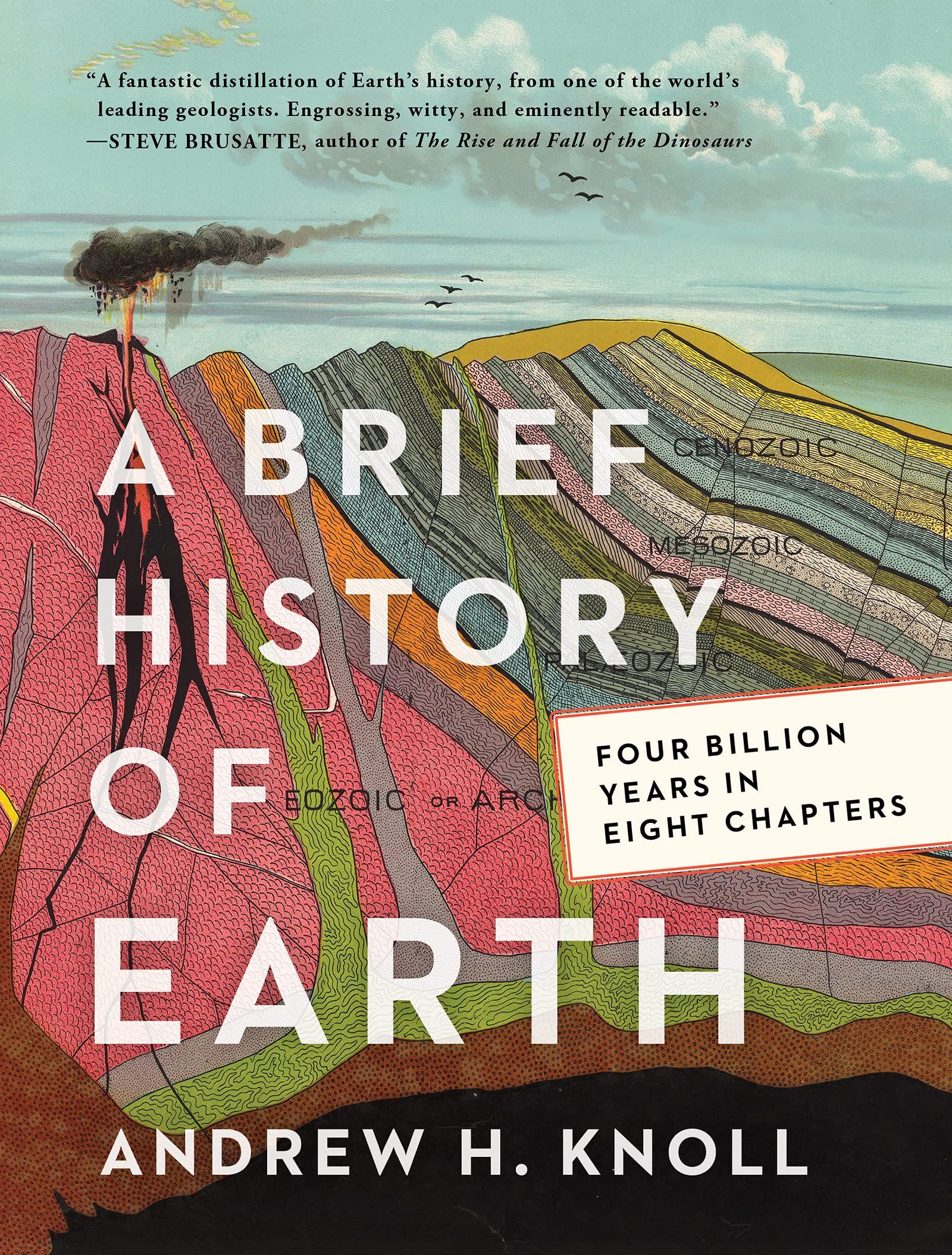 Picture of A Brief History of Earth : Four Billion Years in Eight Chapters