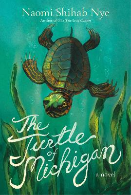 The Turtle of Michigan : A Novel