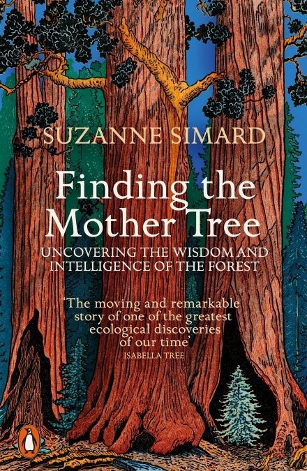 Finding the Mother Tree : Uncovering the Wisdom and Intelligence of the Forest