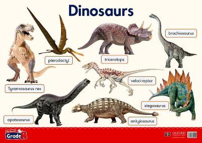 Picture of Dinosaurs: Graad R: Poster 18