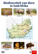 Picture of Biodiversiteit van diere in Suid-Afrika: Graad 5