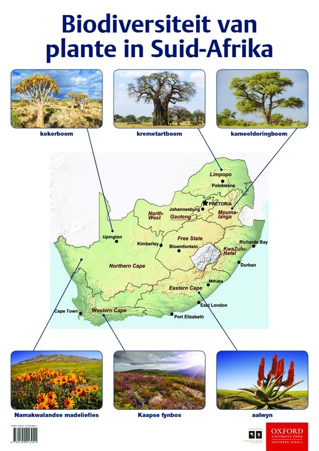 Picture of Biodiversiteit van plante in Suid-Afrika: Graad 5