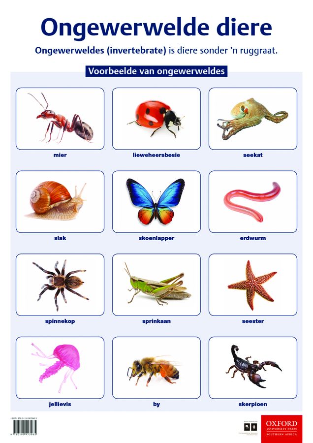 Picture of Ongewerweldes: Graad 5