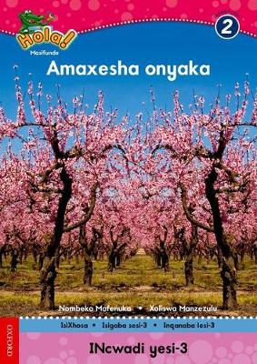 Picture of Amaxesha onyaka: Gr 2: Reader 3