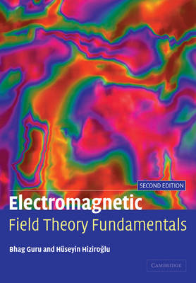 Picture of Electromagnetic Field Theory Fundamentals