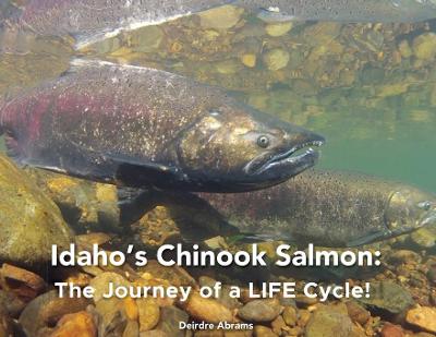 Picture of Idaho's Chinook Salmon : The Journey of a LIFE Cycle