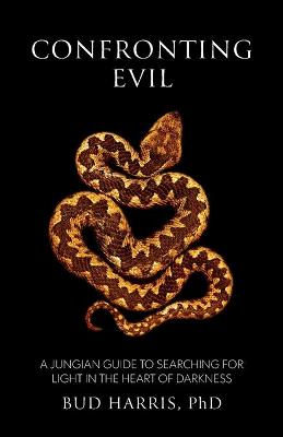 Picture of Confronting Evil : A Jungian Guide to Searching for Light In the Heart of Darkness
