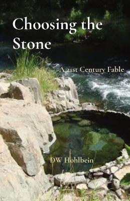 Picture of Choosing the Stone : A 21st Century Fable