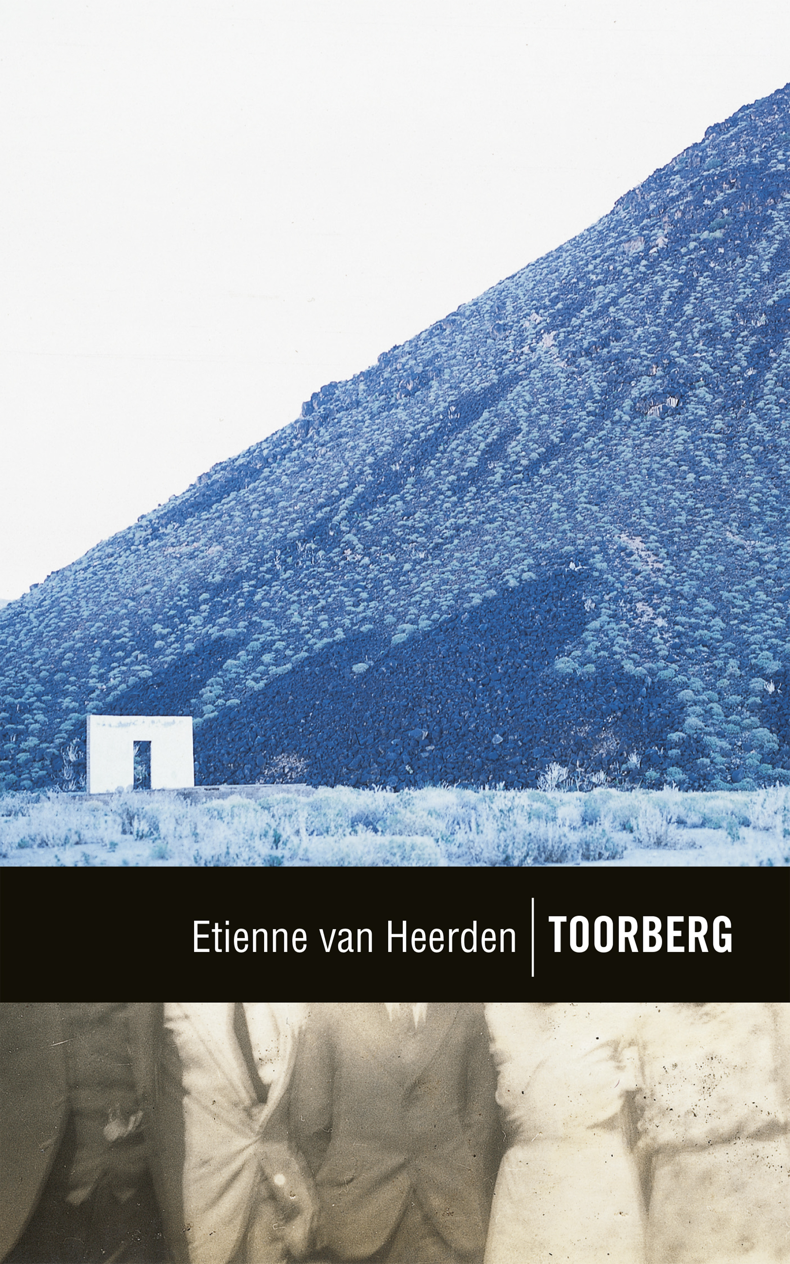 Picture of Toorberg : Klassiek