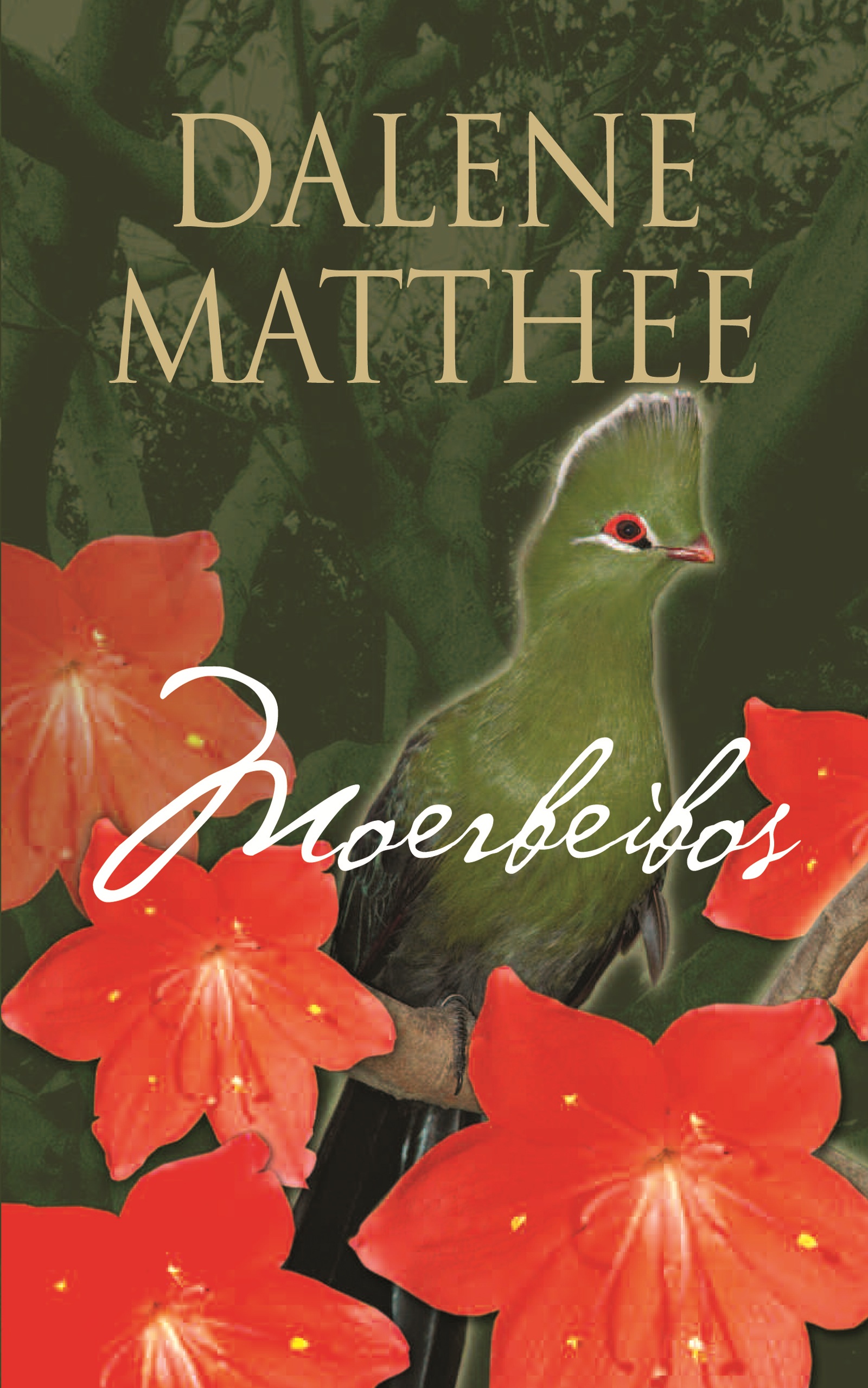 Picture of Moerbeibos