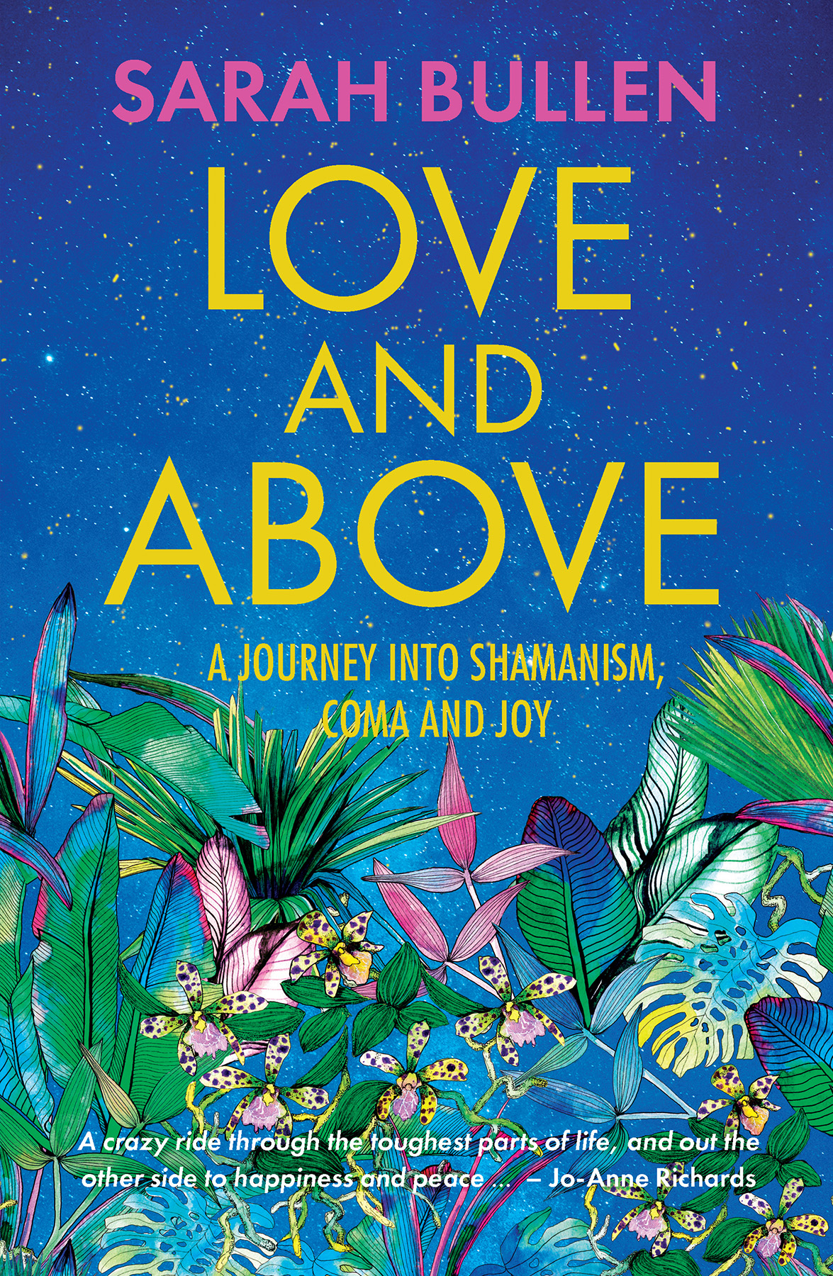 Love and Above  : A Journey Into Shamanism, Coma and Joy