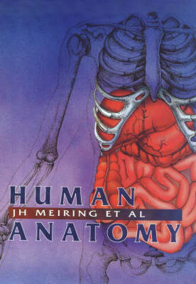 Picture of Human anatomy