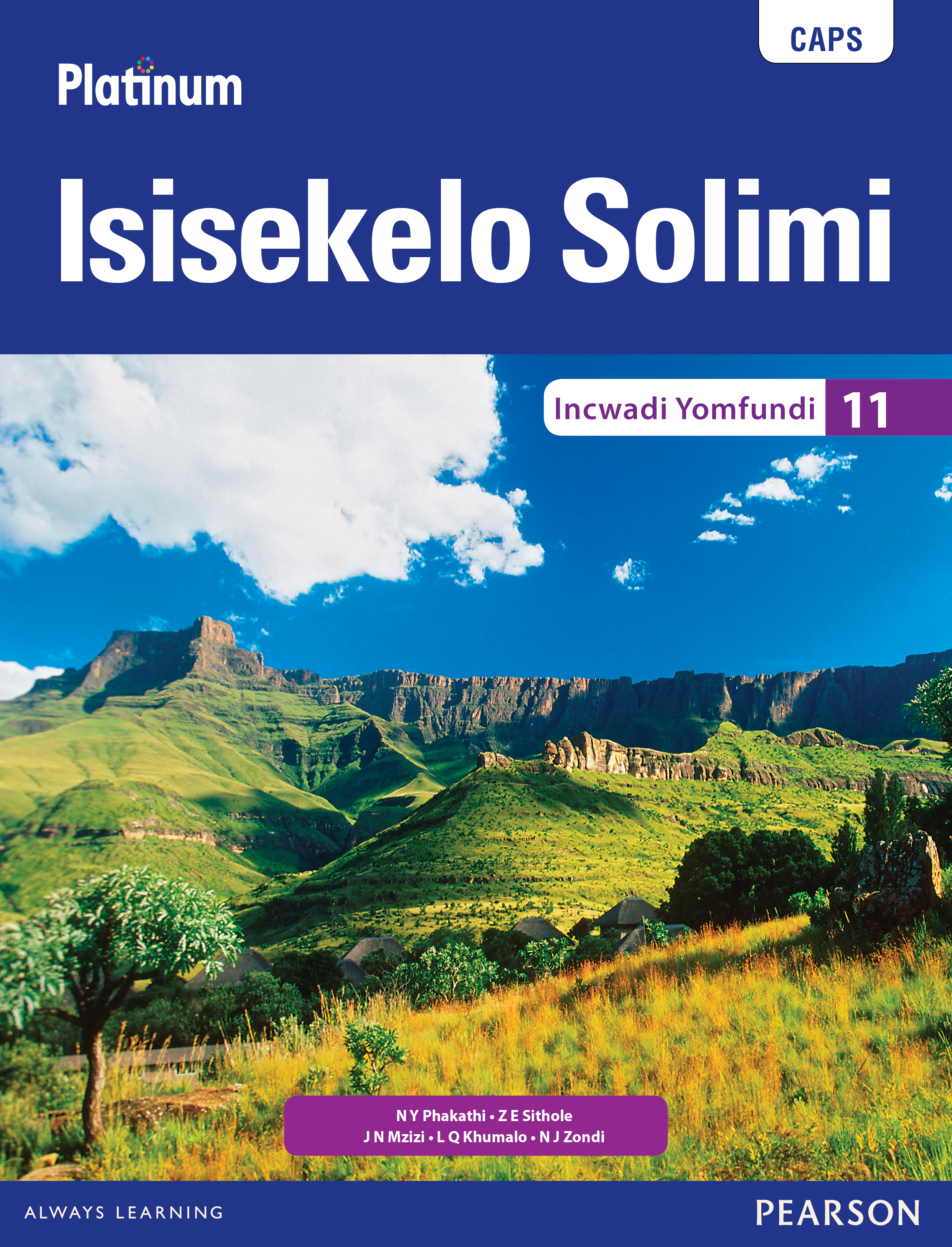 Picture of Platinum isisekelo solimi CAPS