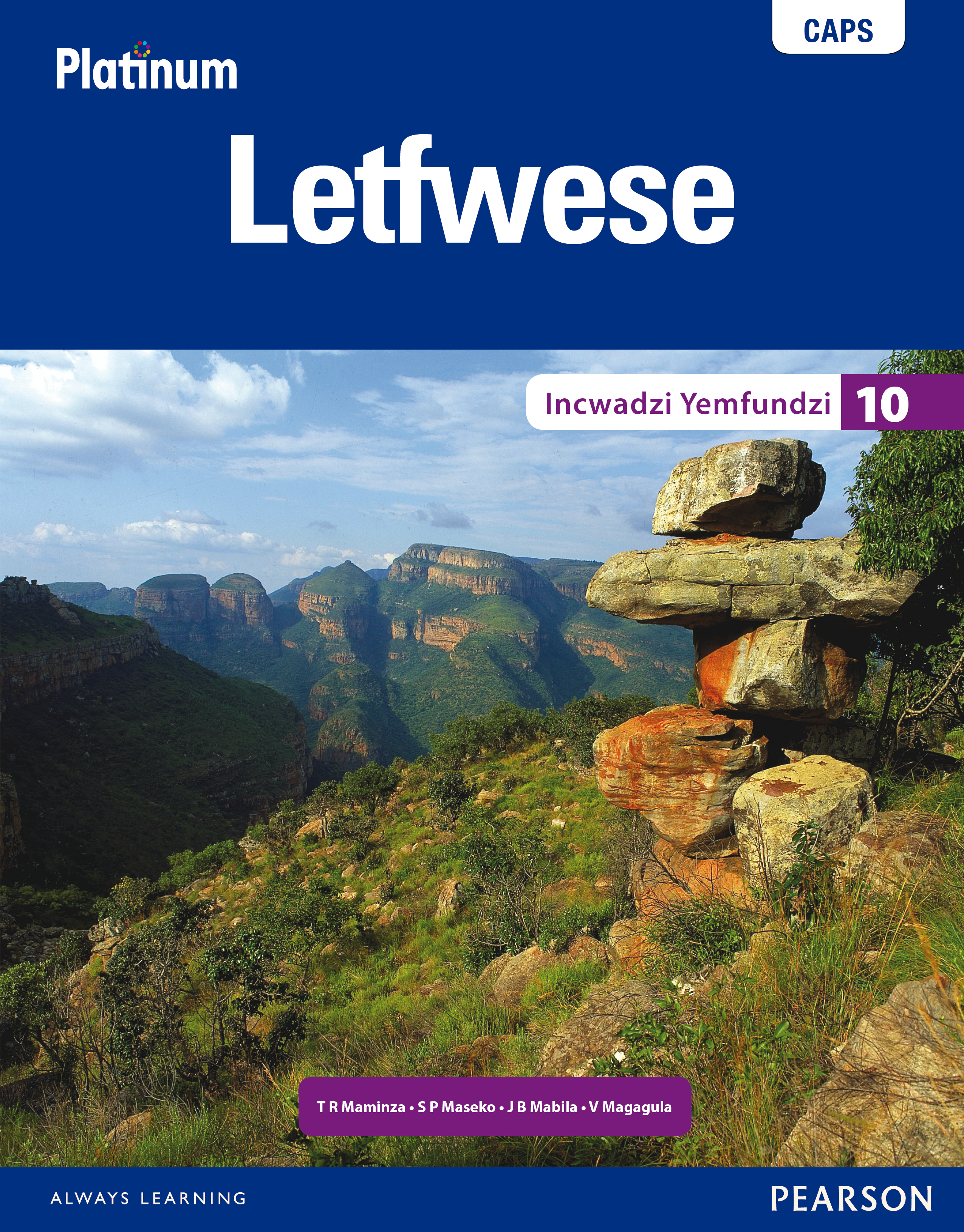 Picture of Platinum letfwese: Gr 10: Textbook