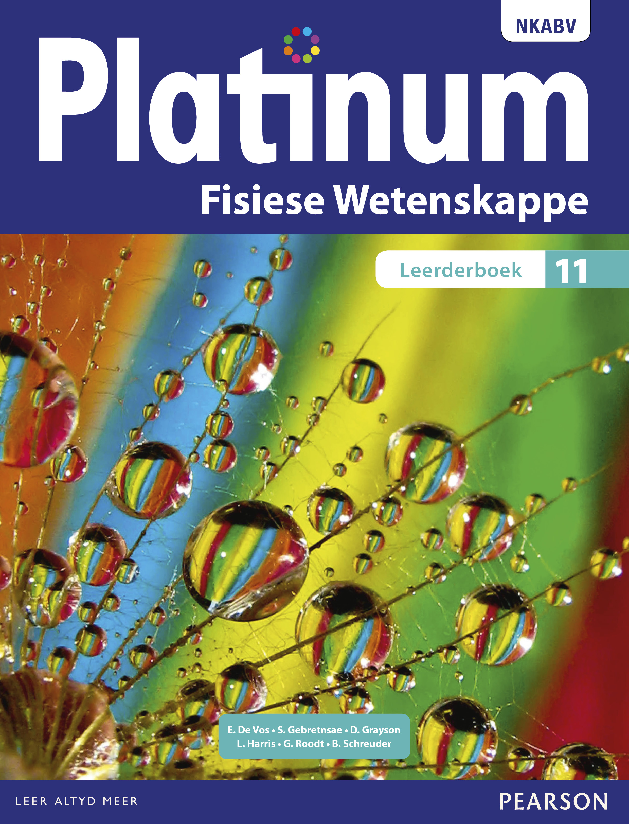 Picture of Platinum Fisiese Wetenskappe NKABV: Platinum fisiese wetenskappe: Graad 11: Leerderboek Gr 11: Leerdersboek