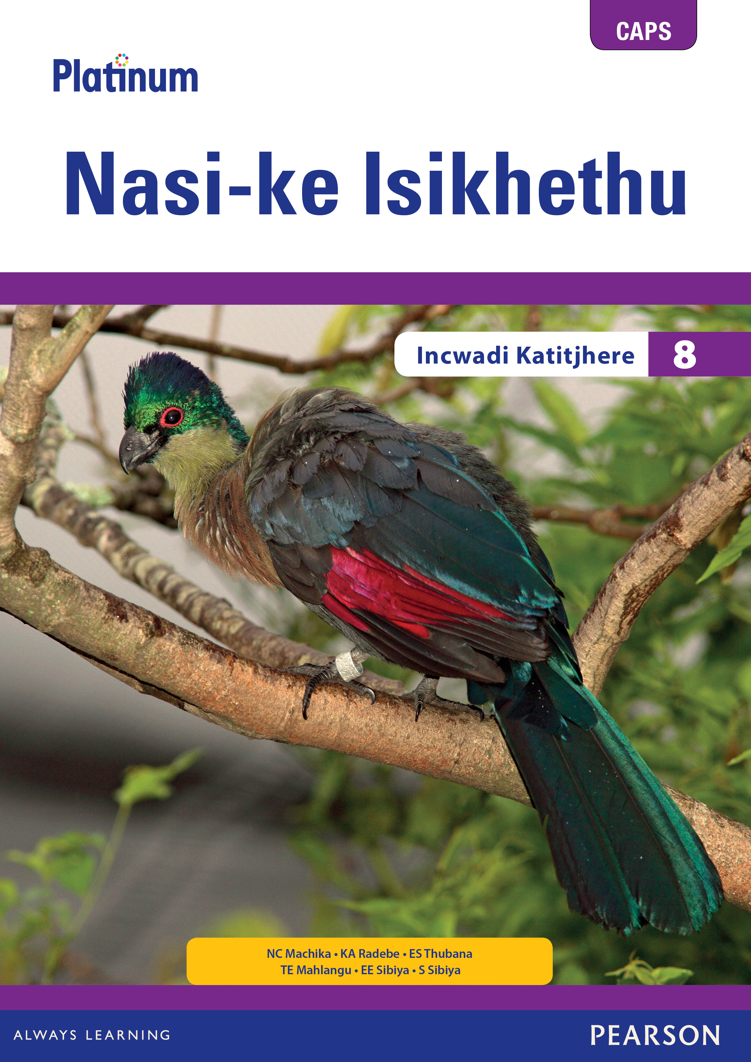 Picture of Platinum Nasi-ke Isikhethu Igreyidi 8 Incwadi Katitjhere (Includes Extension and Remediation Worksheet Book)