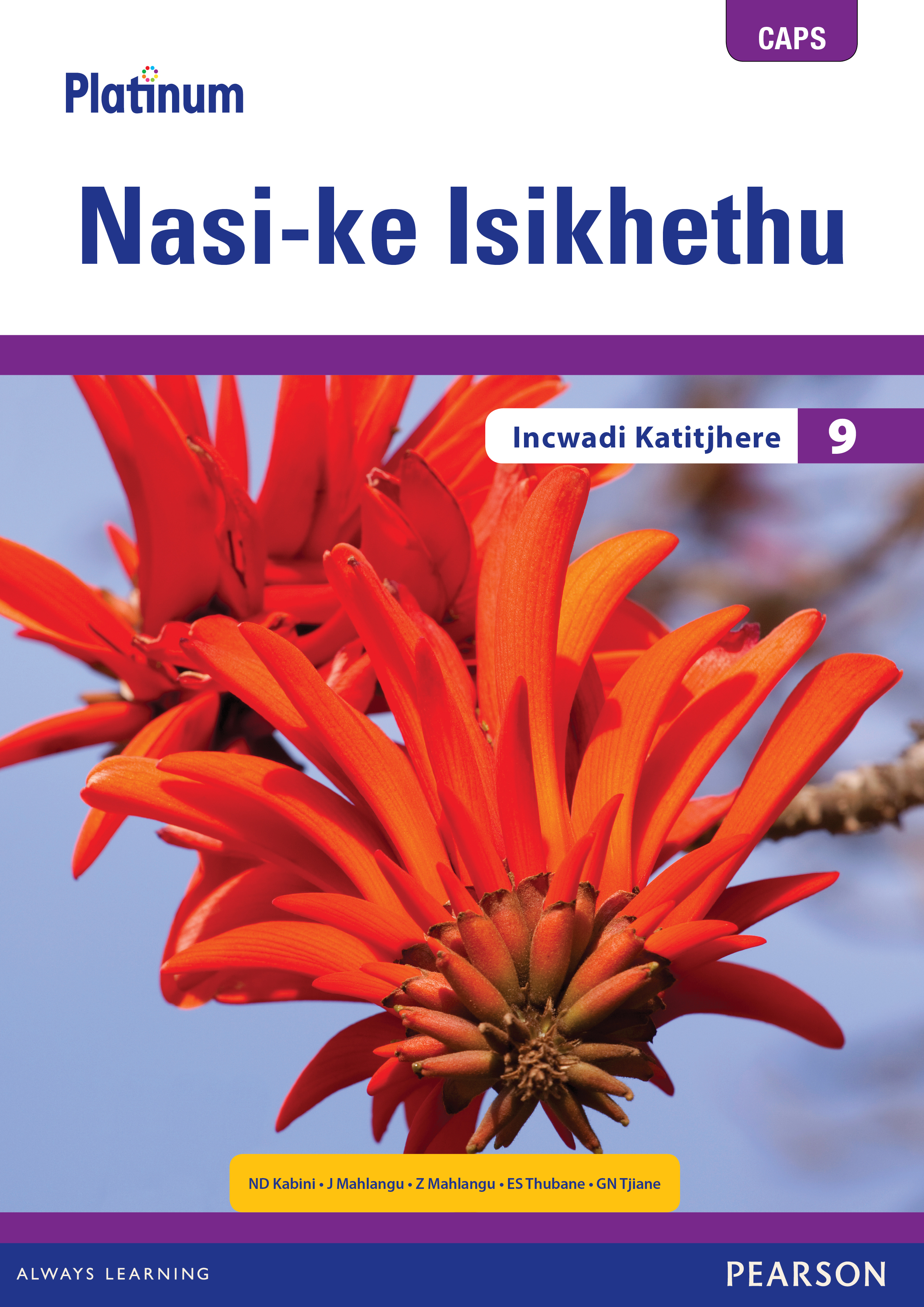 Picture of Platinum Nasi-ke Isikhethu Igreyidi 9 Incwadi Katitjhere (Includes Extension and Remediation Worksheet Book)