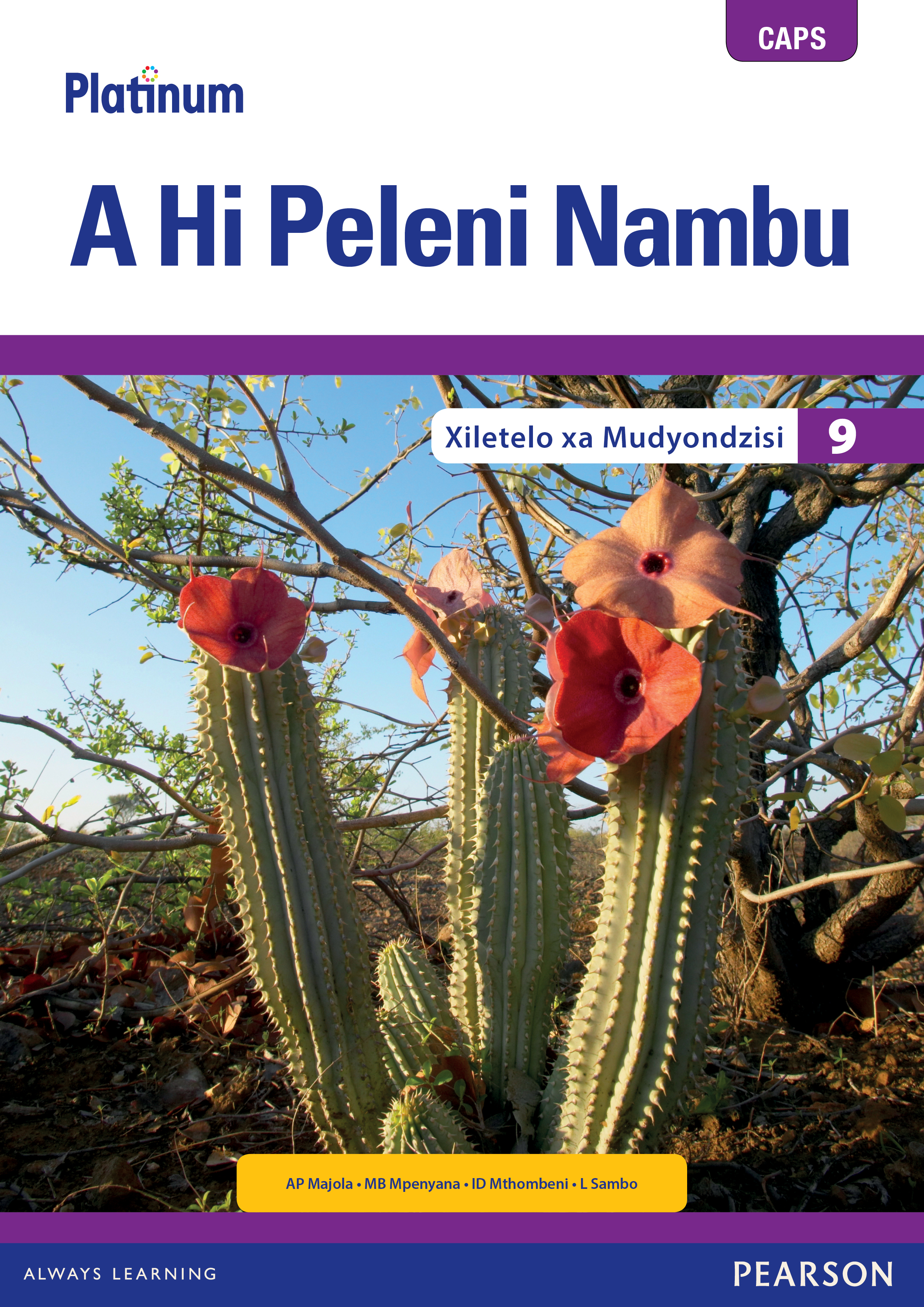 Picture of Platinum A Hi Peleni Nambu Giredi 9 Xiletelo ya Mudyondzisi (Includes Extension and Remediation Worksheet Book)