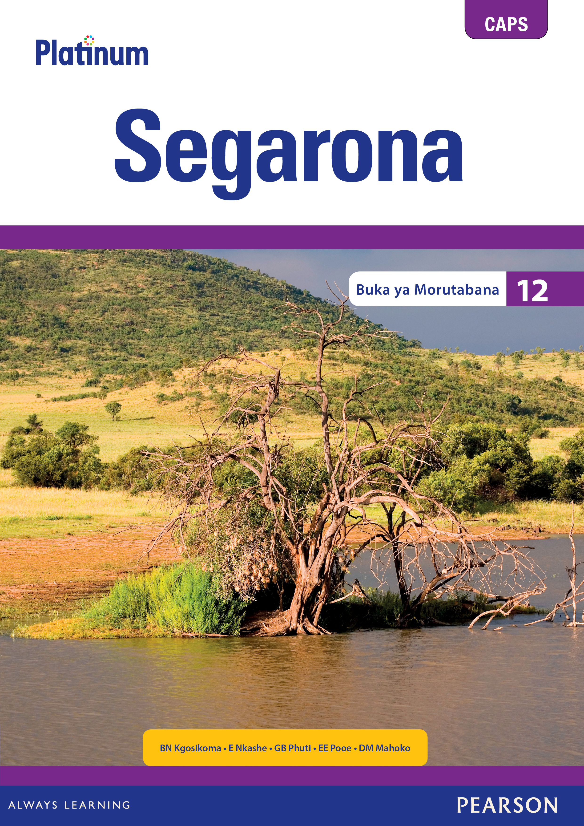 Picture of Platinum segarona CAPS: Gr 12: Teacher's guide : Home language