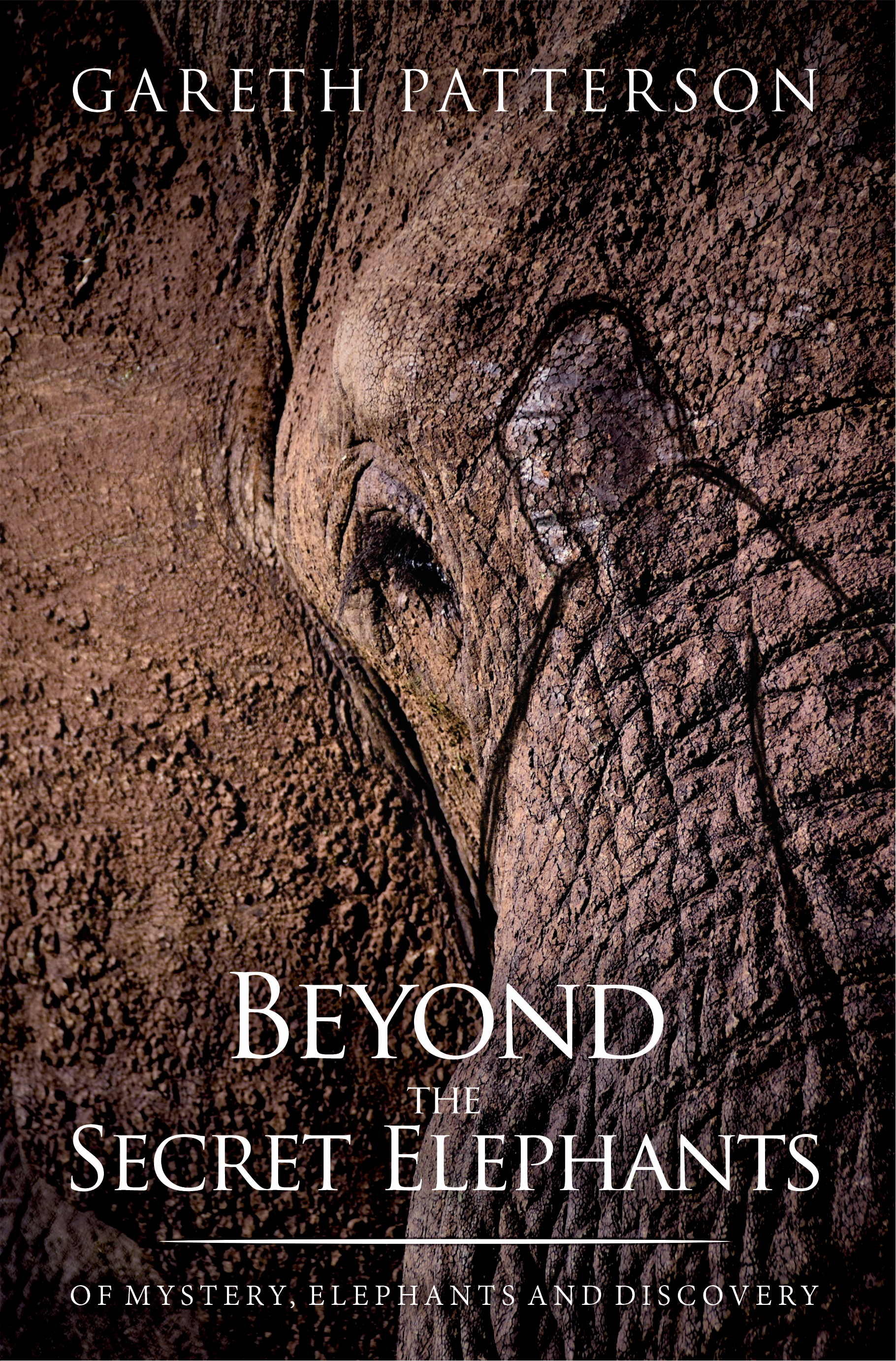 Picture of Beyond the Secret Elephants : Of Mystery, Elephants and Discovery