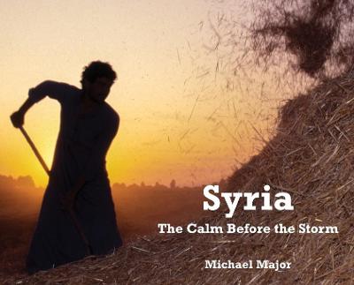 Picture of Syria : The Calm Before the Storm