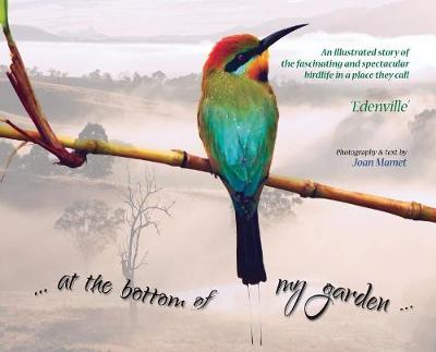 Picture of at the bottom of my garden : An illustrated story of the fascinating and spectacular birdlife in a place called Edenville