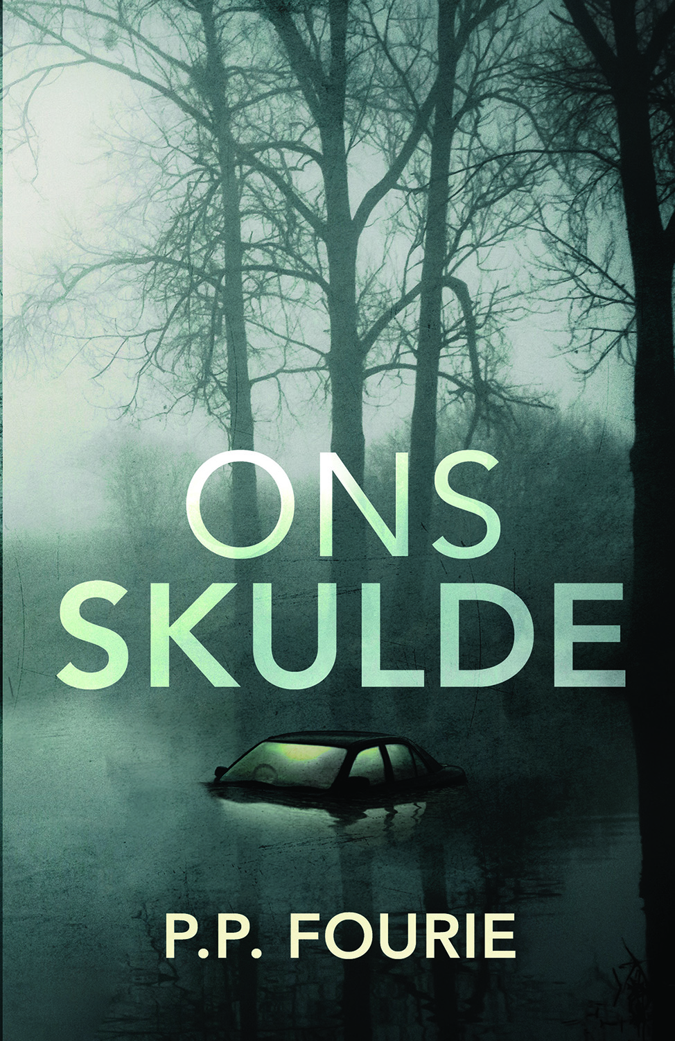 Picture of Ons Skulde