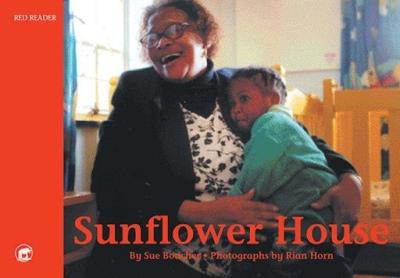 Picture of Sunflower house