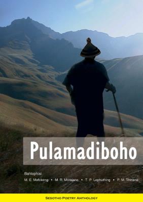 Picture of Pulamadiboho