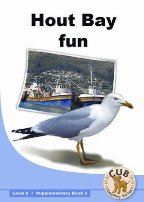 Picture of Hout Bay fun