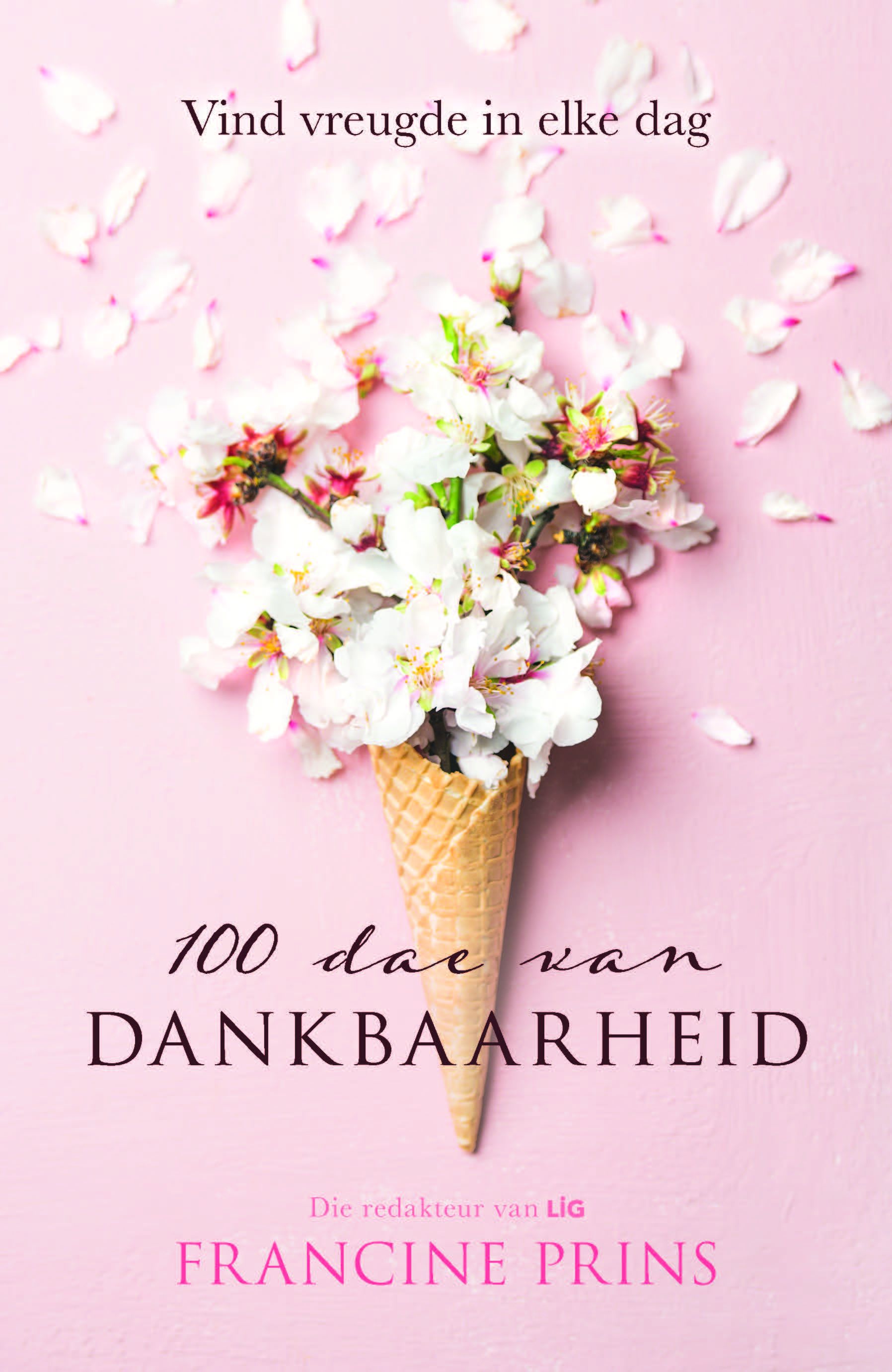 Picture of 100 Dae van Dankbaarheid : Vind Vreugde in Elke Dag