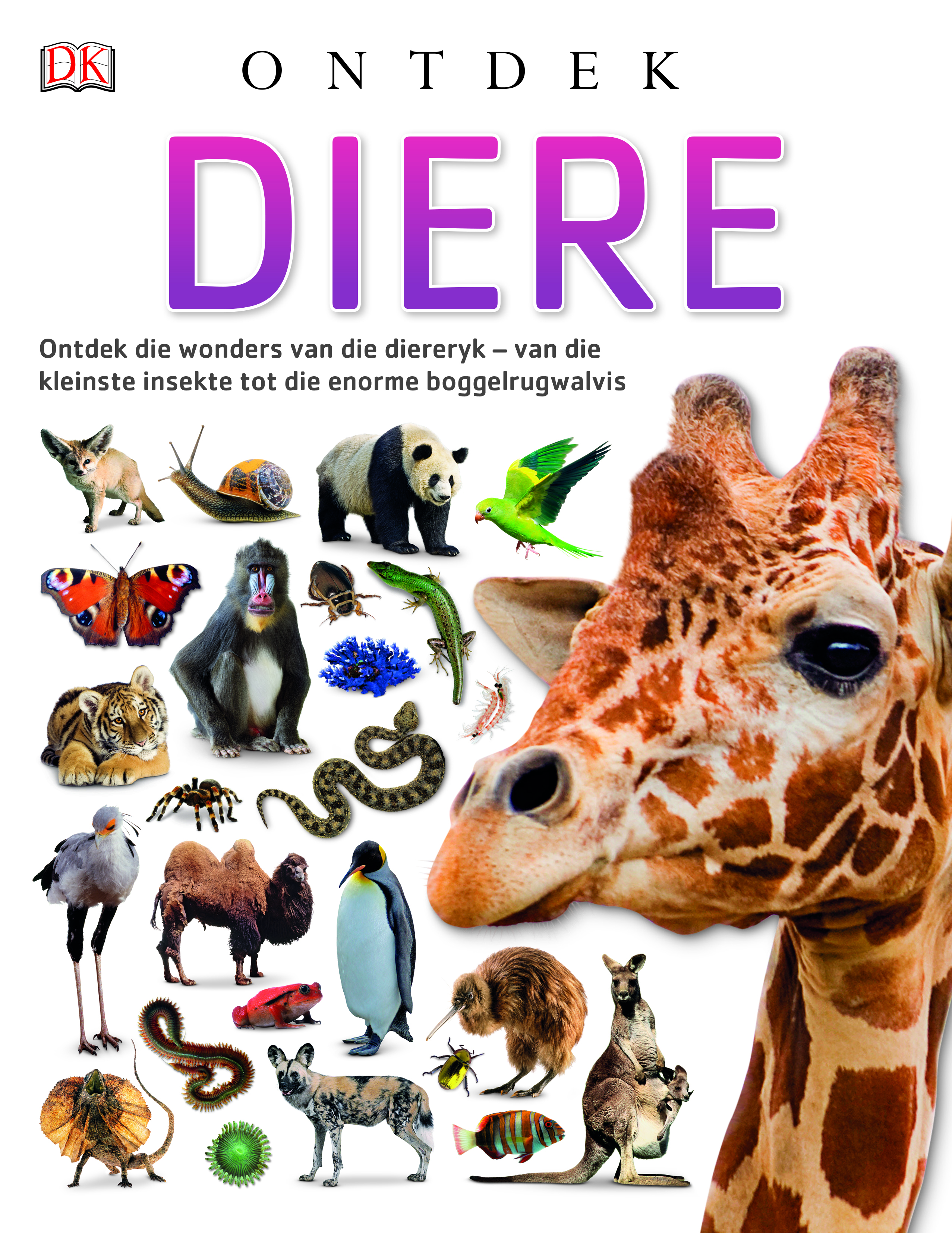 Picture of Ontdek: Diere