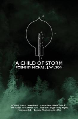 Picture of A Child of Storm : Poems by Michael J. Wilson