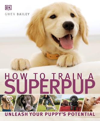 Picture of How to Train a Superpup