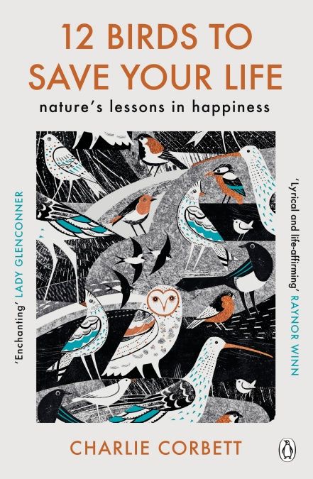 Picture of 12 Birds to Save Your Life : Nature's Lessons in Happiness