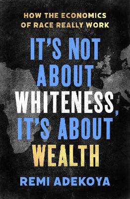 It's Not About Whiteness, It's About Wealth : How the Economics of Race Really Work