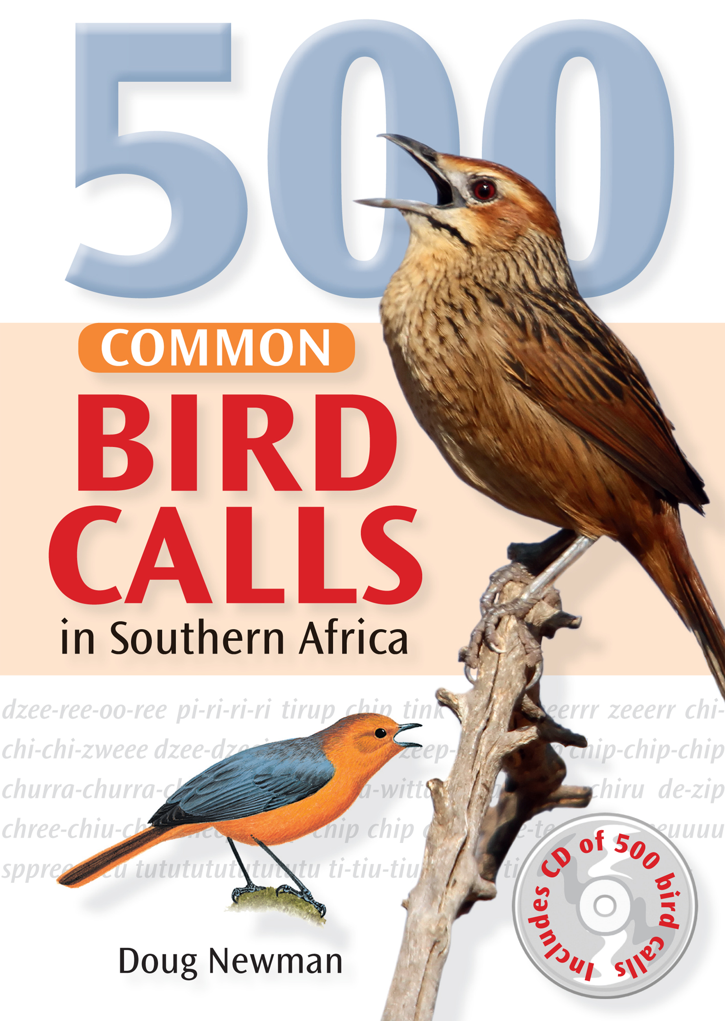 Picture of 500 Common bird calls in Southern Africa