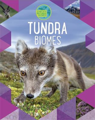 Picture of Earth's Natural Biomes: Tundra