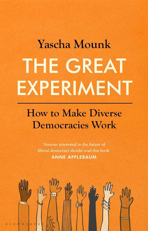 The Great Experiment : How to Make Diverse Democracies Work