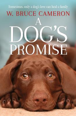 Picture of A Dog's Promise