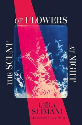 The Scent of Flowers at Night : a stunning new work of non-fiction from the bestselling author of Lullaby