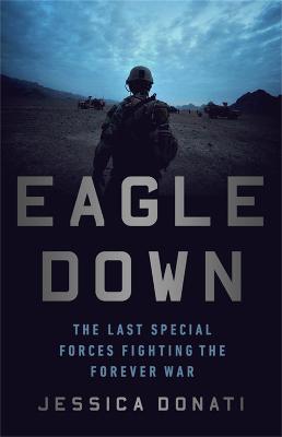 Eagle Down : American Special Forces at the End of Afghanistan's War