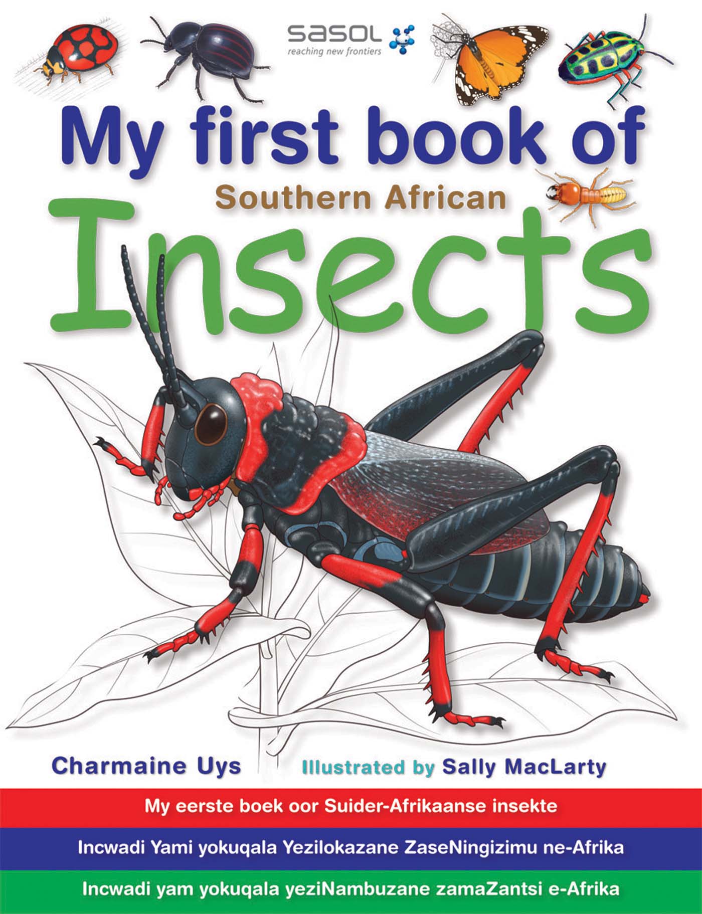 Picture of My first book of Southern African insects