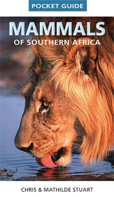 Picture of Pocket guide mammals of Southern Africa 