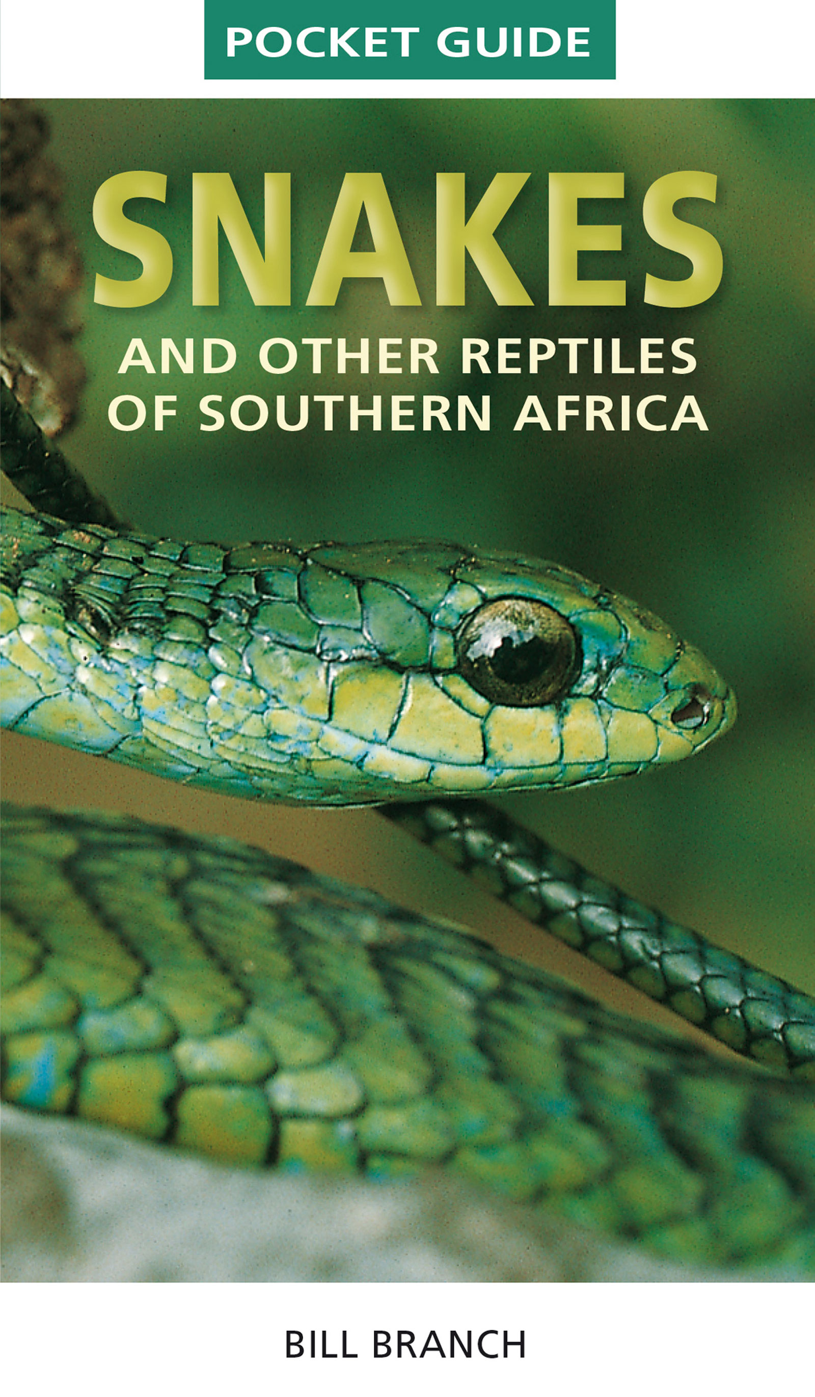 Picture of Snakes and Reptiles of Southern Africa