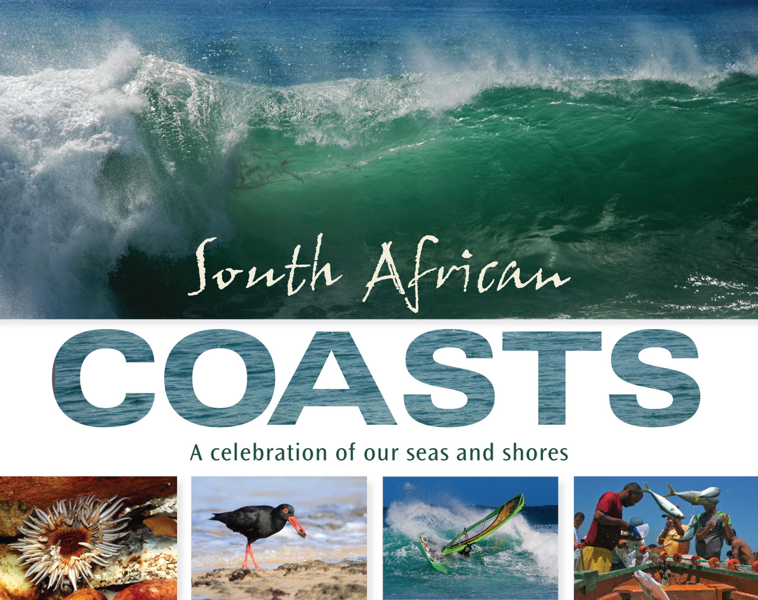 Picture of South African coasts