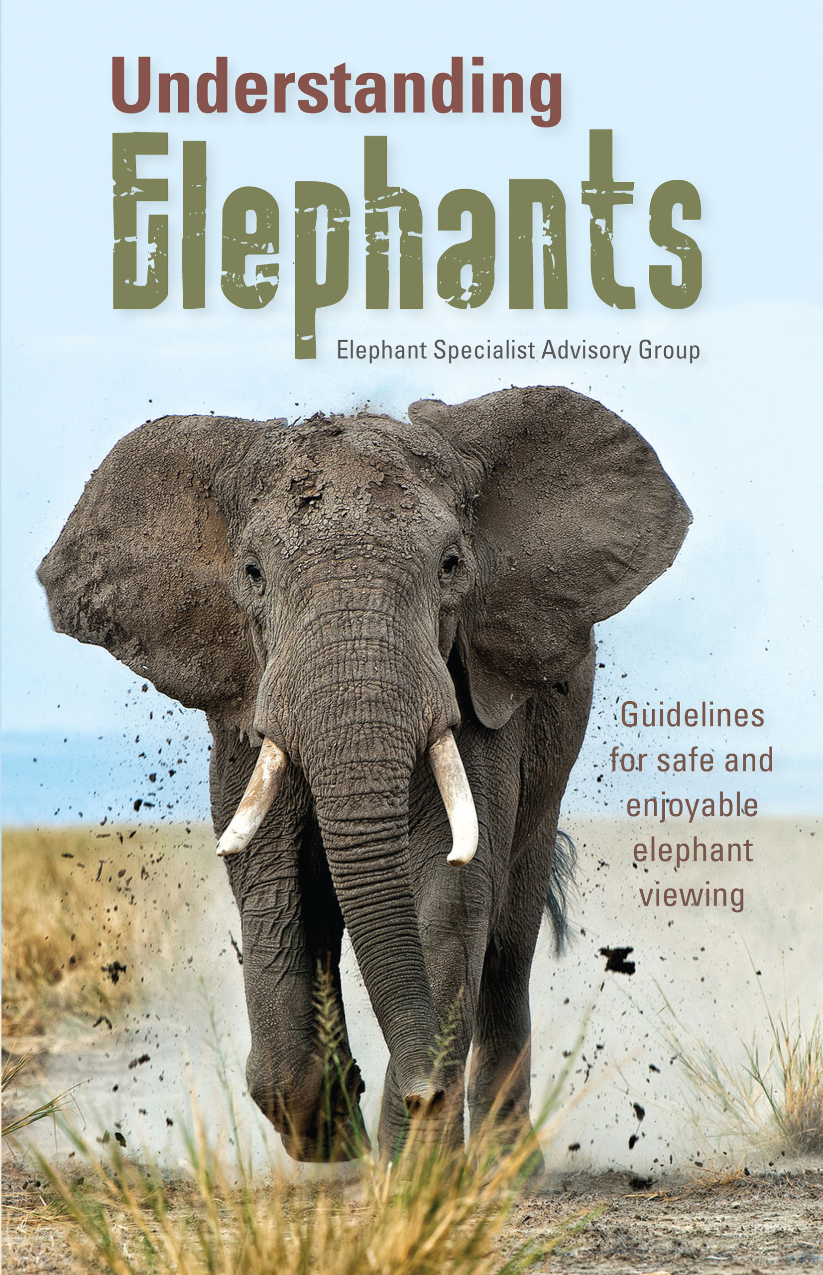Picture of Understanding elephants